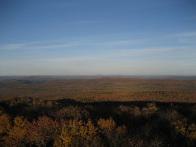 Week 40 of the year in Massachusetts