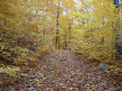 Week 44 of the year in Maine