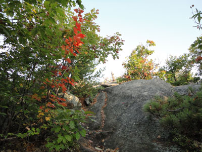 Week 39 of the year in New Hampshire