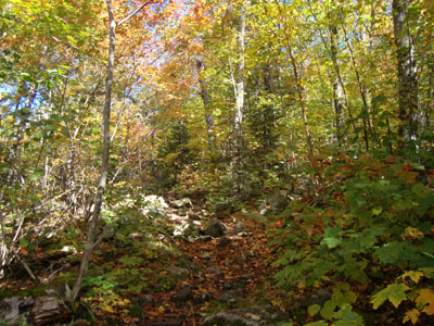Week 40 of the year in New Hampshire