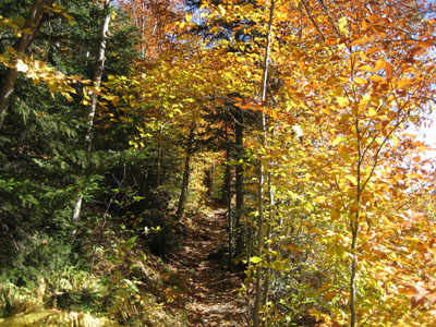 Week 42 of the year in Vermont